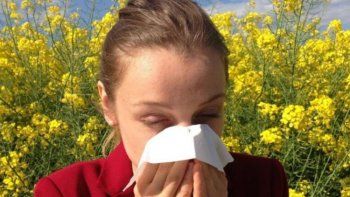 congestion nasal: 3 remedios caseros para aliviarla congestion nasal: 3 remedios caseros para aliviarla