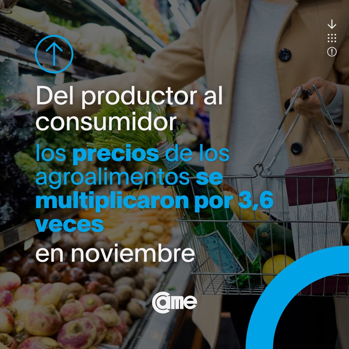 CAME informó que en noviembre la brecha entre productor y consumidor fue de 3,6 veces CAME informó que en noviembre la brecha entre productor y consumidor fue de 3,6 veces