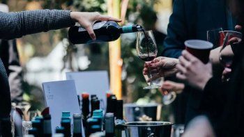 El Gobierno se metió con el vino: Fuertes cambios en el INV