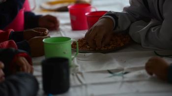 El Día Mundial de la Alimentación resalta la lucha contra el hambre. En Argentina, la inseguridad alimentaria afecta al 25% de la población, incluidos niños. El Día Mundial de la Alimentación resalta la lucha contra el hambre. En Argentina, la inseguridad alimentaria afecta al 25% de la población, incluidos niños.