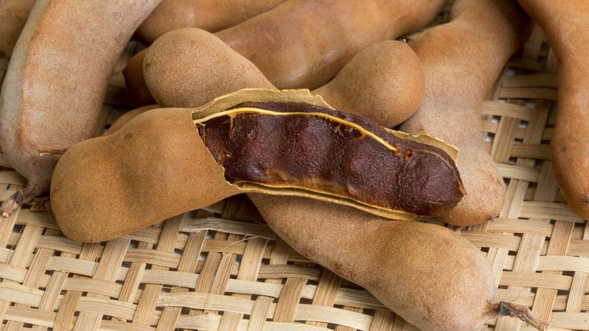 Tamarindo, la fruta que tiene muchísimas propiedades. Tamarindo, la fruta que tiene muchísimas propiedades.