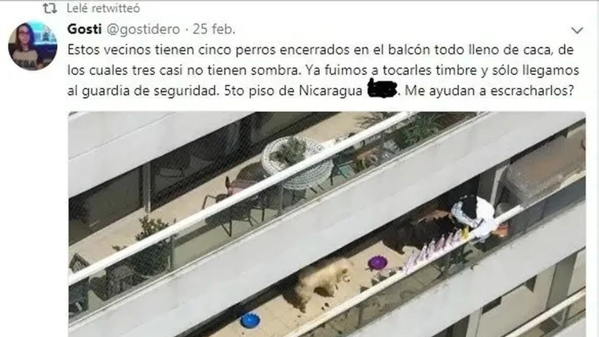 El Tweet donde fue la acusación de 2018 (Foto: El Trece)