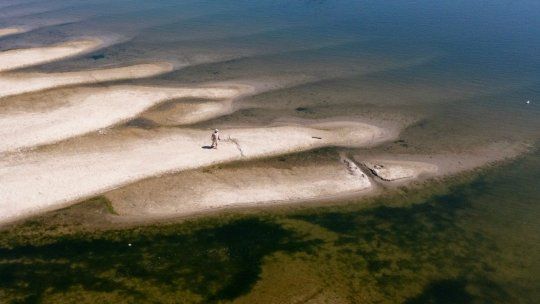 Ola de calor en Europa: el Rin y el Danubio se secan y golpean la energía y el comercio