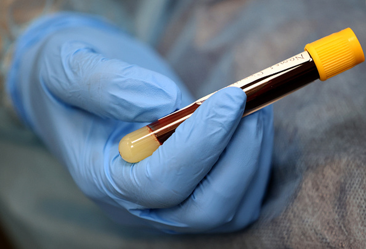 Es como tener una reserva de "sangre instantánea" que podés llevar a todos lados y usar cuando sea necesario. Es como tener una reserva de "sangre instantánea" que podés llevar a todos lados y usar cuando sea necesario.