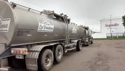 Saputo vende el 80% de La Paulina pero no se retira de la actividad láctea en Argentina.