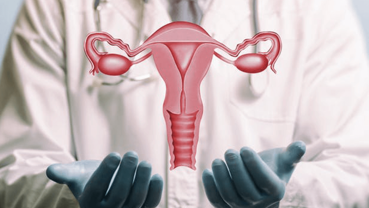 Un grupo de ginecólogas quieren traer a Argentina una novedosa cirugía para que mujeres puedan ser madre a través del trasplante de útero. Un grupo de ginecólogas quieren traer a Argentina una novedosa cirugía para que mujeres puedan ser madre a través del trasplante de útero.