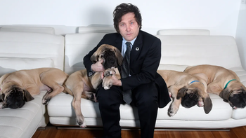 ¿Cuántos kgs. de alimento compra Javier Milei para sus mascotas? ¿Cuántos kgs. de alimento compra Javier Milei para sus mascotas?