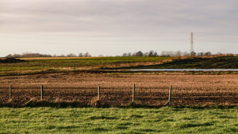 El campo emerge como el activo ideal en tiempos de incertidumbre
