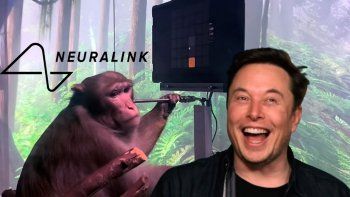 Entre los errores que provocaron muertes innecesarias de animales se encuentra uno ocurrido en 2021, cuando a 25 de los 60 cerdos de un estudio se les implantaron dispositivos del tamaño incorrecto en la cabeza, un error que podría haberse evitado con más preparación Entre los errores que provocaron muertes innecesarias de animales se encuentra uno ocurrido en 2021, cuando a 25 de los 60 cerdos de un estudio se les implantaron dispositivos del tamaño incorrecto en la cabeza, un error que podría haberse evitado con más preparación