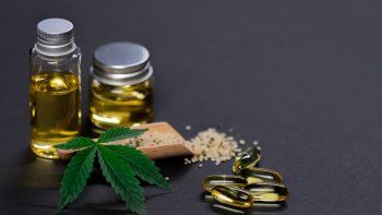 Mucha expectativa, pero el cannabis no sirve para lo que se creía