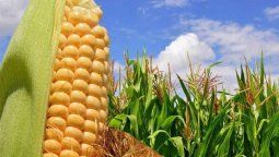 altText(El gesto oficial tuvo gusto a poco y el campo mantiene el paro)}