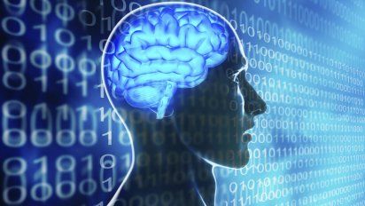 SLYM, la nueva parte del cerebro jamás antes conocida