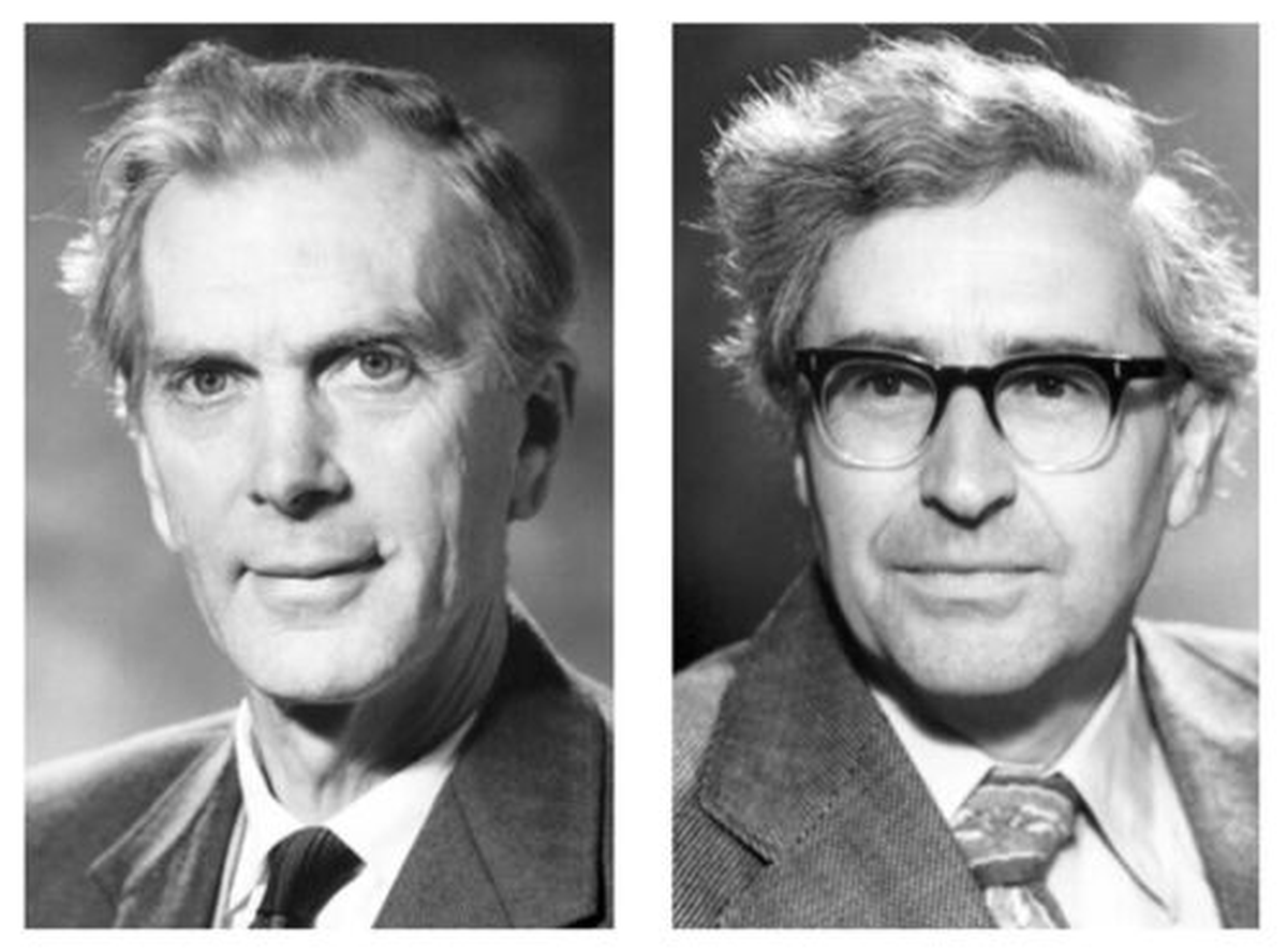 A pesar de ser quien hizo el descubrimiento, sus superiores Antony Hewish y Martin Ryle fueron acreditados por tal y fueron galardonados con el Nobel de Física en 1974. A pesar de ser quien hizo el descubrimiento, sus superiores Antony Hewish y Martin Ryle fueron acreditados por tal y fueron galardonados con el Nobel de Física en 1974.