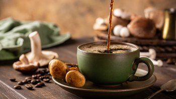 La moda de los hongos que preocupa cada vez más a la ciencia