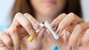 a pesar de las 8 millones de muertes anuales, la industria tabacalera sobrevive y prospera a pesar de las 8 millones de muertes anuales, la industria tabacalera sobrevive y prospera