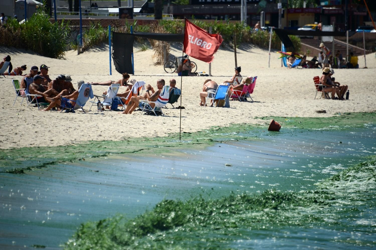 Bandera sanitaria en playa de Uruguay por floraci&oacute;n de cianobacterias