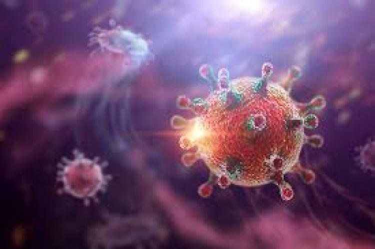 Acusaciones cruzadas entre China y EEUU por el brote de coronavirus: teorías para todos los gustos