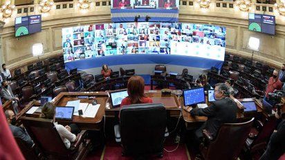 Comenzó en el Senado la 1ra sesión virtual de su historia