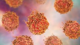 Cáncer: Nuevo estudio sobre mayor riesgo.