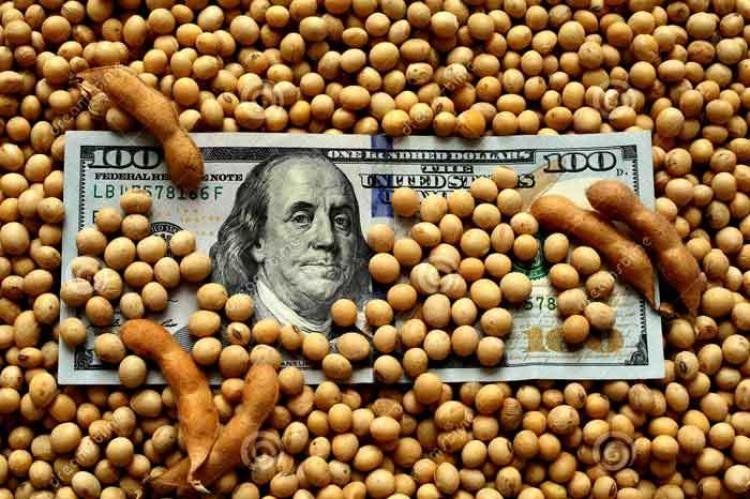 La soja otra vez entre los productores, los exportadores y el Gobierno Nacional.