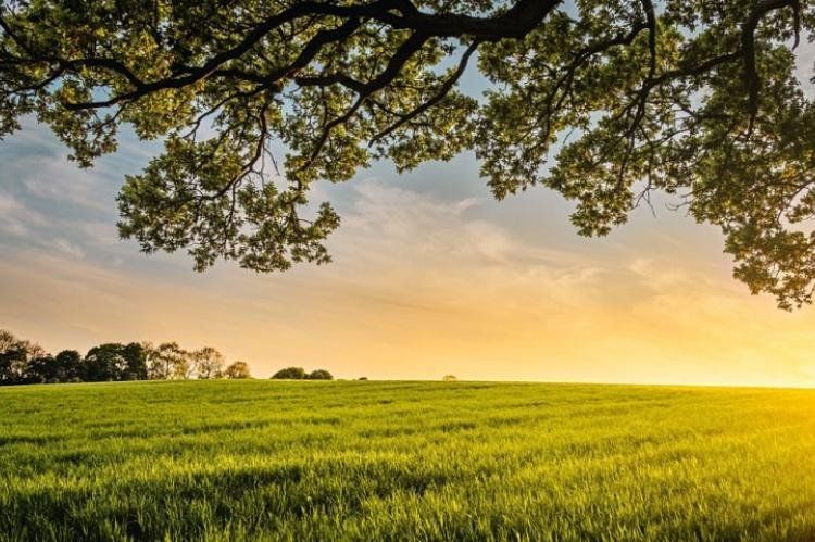 Fuerte apoyo de los Ministros de Agricultura para desactivar el paro del campo