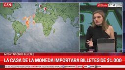 Nazarena Lomagno, panelista económica de C5N.&nbsp;