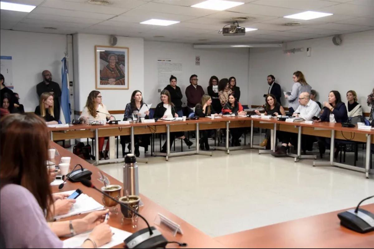 La Comisión de Mujeres&nbsp; y Diversidad, aportó argumentos para lograr dictamanen final