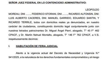 Moreau, Storani, 'Changui' y Alfonsín: 'Un solo corazón' contra el DNU de la Side