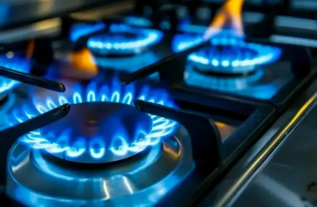 Argentina soportaría consumos récords de energía en 2026 Argentina soportaría consumos récords de energía en 2026