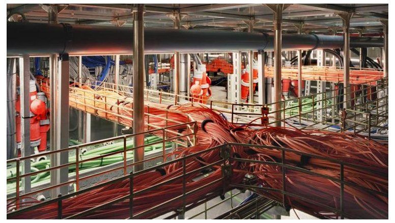 Mejor video científico 2012: El tic-tac del corazón