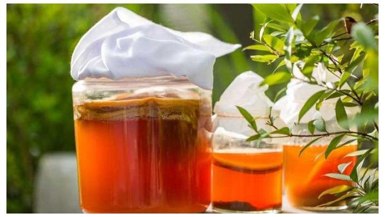 El regreso de los fermentados: Alimentos y bebidas que pueden cambiar tu digestión