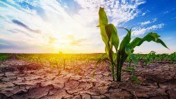 Gran noticia: Se terminó La Niña y se cae el cielo