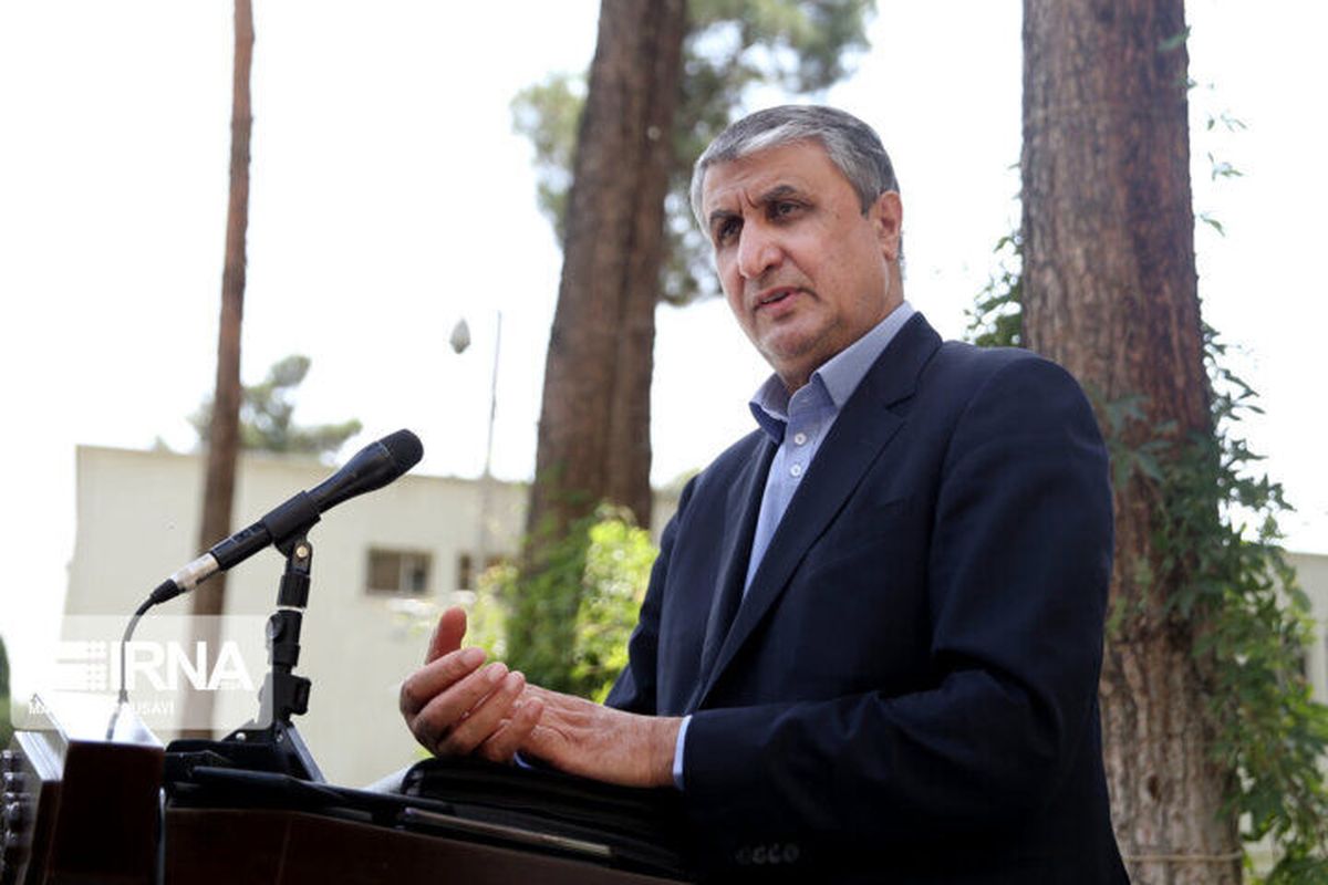 El jefe de la Organización de Energía Atómica de Irán, Mohammad Eslami.