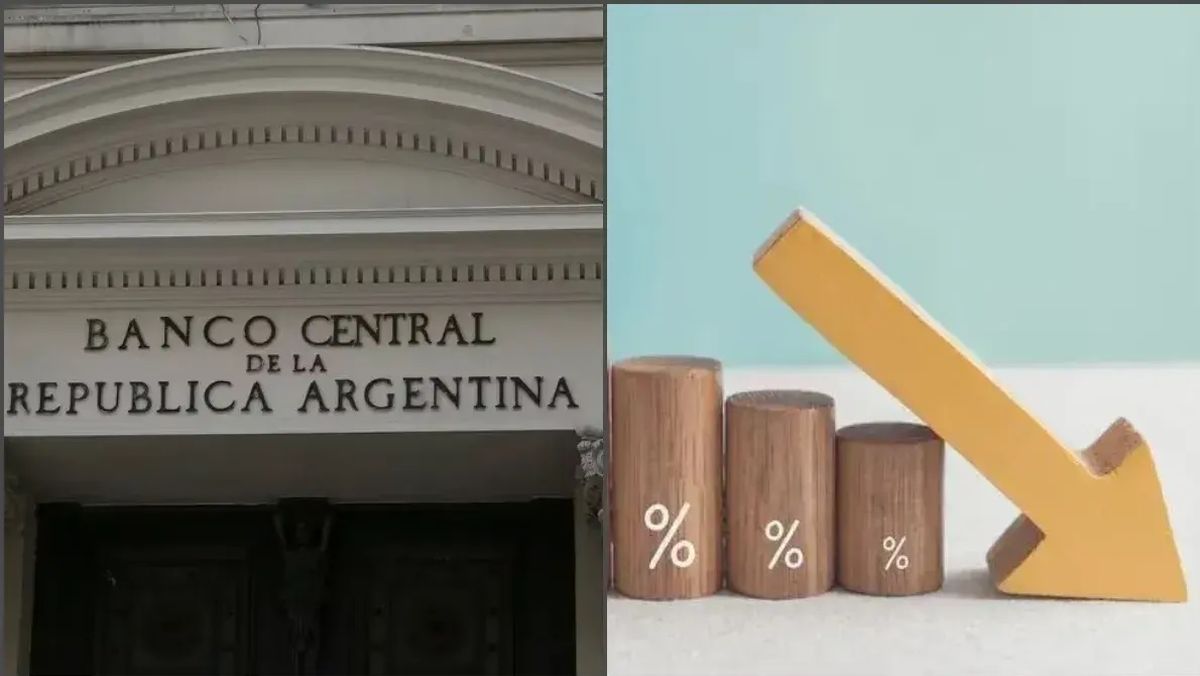 Plazos Fijos: ¿Se Viene Una Reducción De Tasas Del BCRA? Los Ahorristas ...