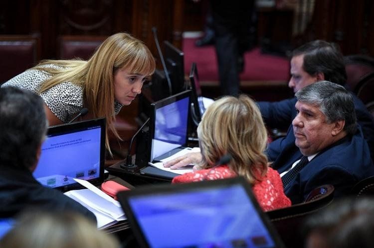 Jornada muy especial en el Senado.
