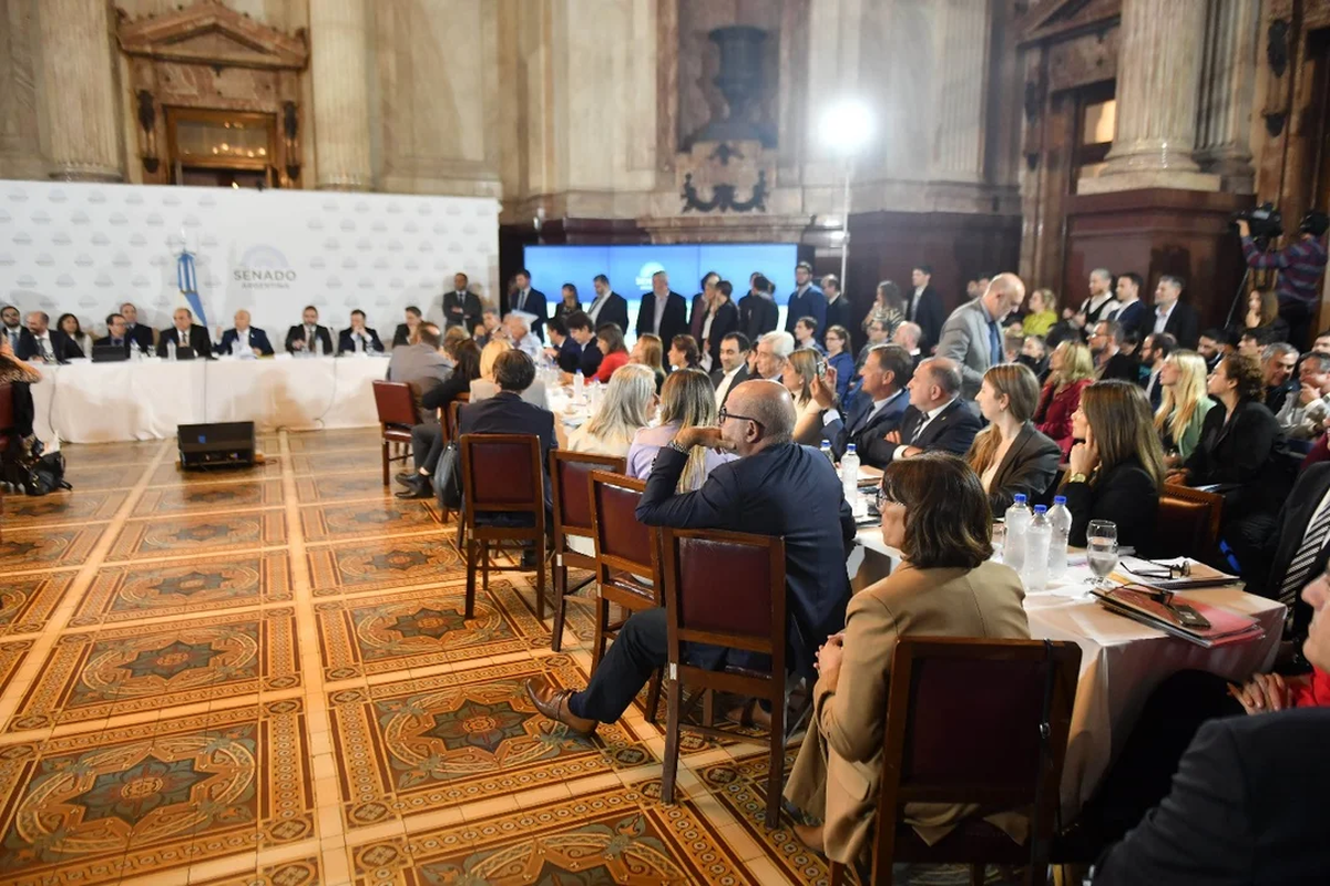 El Senado entró en cuarto intermedio hasta el lunes y enterró el deseo del oficialismo por tener Ley Bases y paquete fiscal antes del Pacto de Mayo. El Senado entró en cuarto intermedio hasta el lunes y enterró el deseo del oficialismo por tener Ley Bases y paquete fiscal antes del Pacto de Mayo.