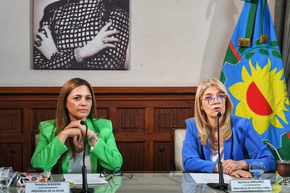 Vicegobernadores, todos,&nbsp; preocupados por la crisis que sufren algunas provincias