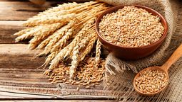 El Día del Cerealista recuerda que la Argentina fue alguna vez granero del mundo y el trigo era un producto poderoso para una economía emergente.