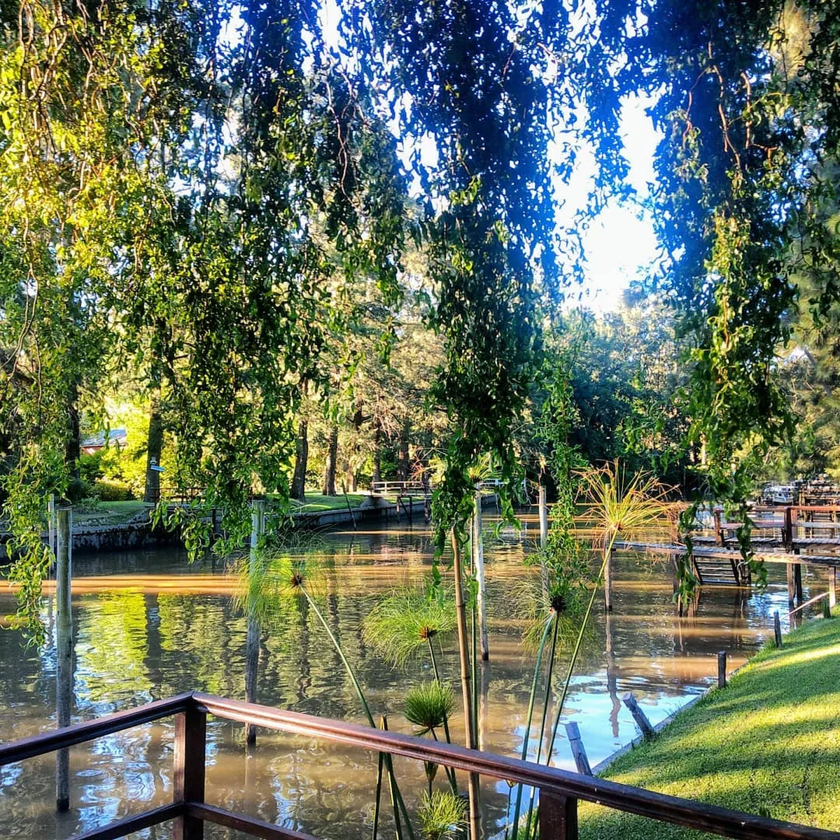 Se puede aprovechar a caminar y tomar mates frente al Delta en Tigre.