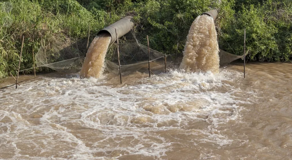 Los investigadores determinaron que los efluentes consistían en sustancias con valores de coliformes termotolerantes elevados y con presencia de Escherichia coli. Los investigadores determinaron que los efluentes consistían en sustancias con valores de coliformes termotolerantes elevados y con presencia de Escherichia coli.