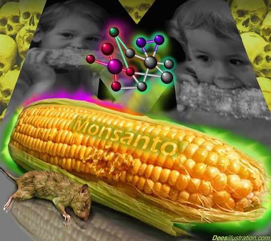 ¿Monsanto suministra vida o muerte?