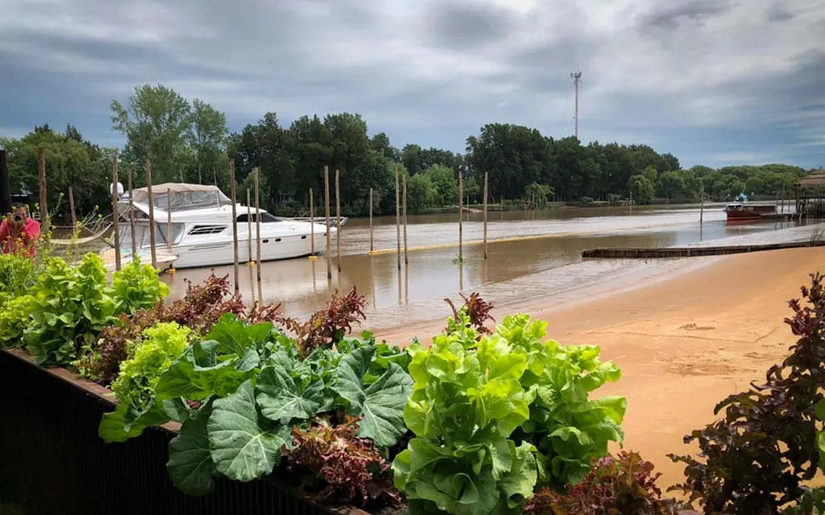 Las increíbles playitas para disfrutar a orillas del río en Tigre, Buenos Aires.