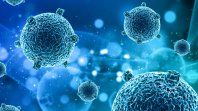Hantavirus en crucero: Polémica entre expertos y OMS. Hantavirus en crucero: Polémica entre expertos y OMS.