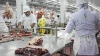 La empresa está lista para trabajar y nosotros estamos dispuestos, señalaron. La empresa está lista para trabajar y nosotros estamos dispuestos, señalaron.