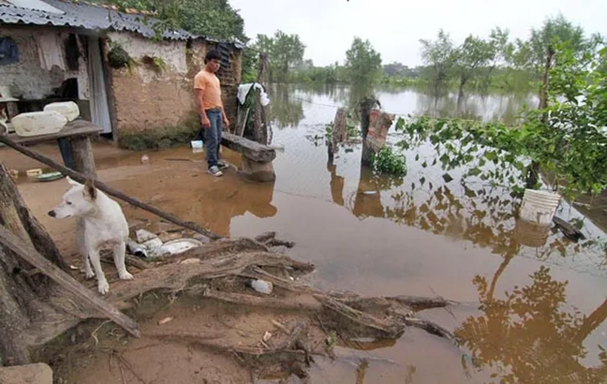 Un vecino de La Vuelta del Paraguayo, uno de los barrios de Santa Fe que está más afectado por la crecida del río Paraná. Un vecino de La Vuelta del Paraguayo, uno de los barrios de Santa Fe que está más afectado por la crecida del río Paraná.