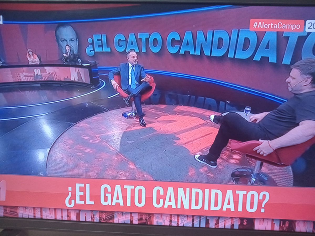 Gustavo Sylvestre y Leandro Santoro: ¿los elegidos por CFK para CABA? Gustavo Sylvestre y Leandro Santoro: ¿los elegidos por CFK para CABA?