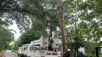 Edelap trabajando en La Plata. Edelap trabajando en La Plata.