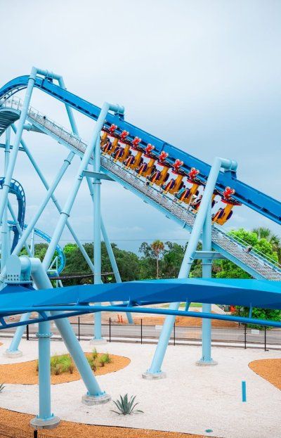 Más allá de Disney y Universal: los 8 parques imperdibles para visitar en Miami