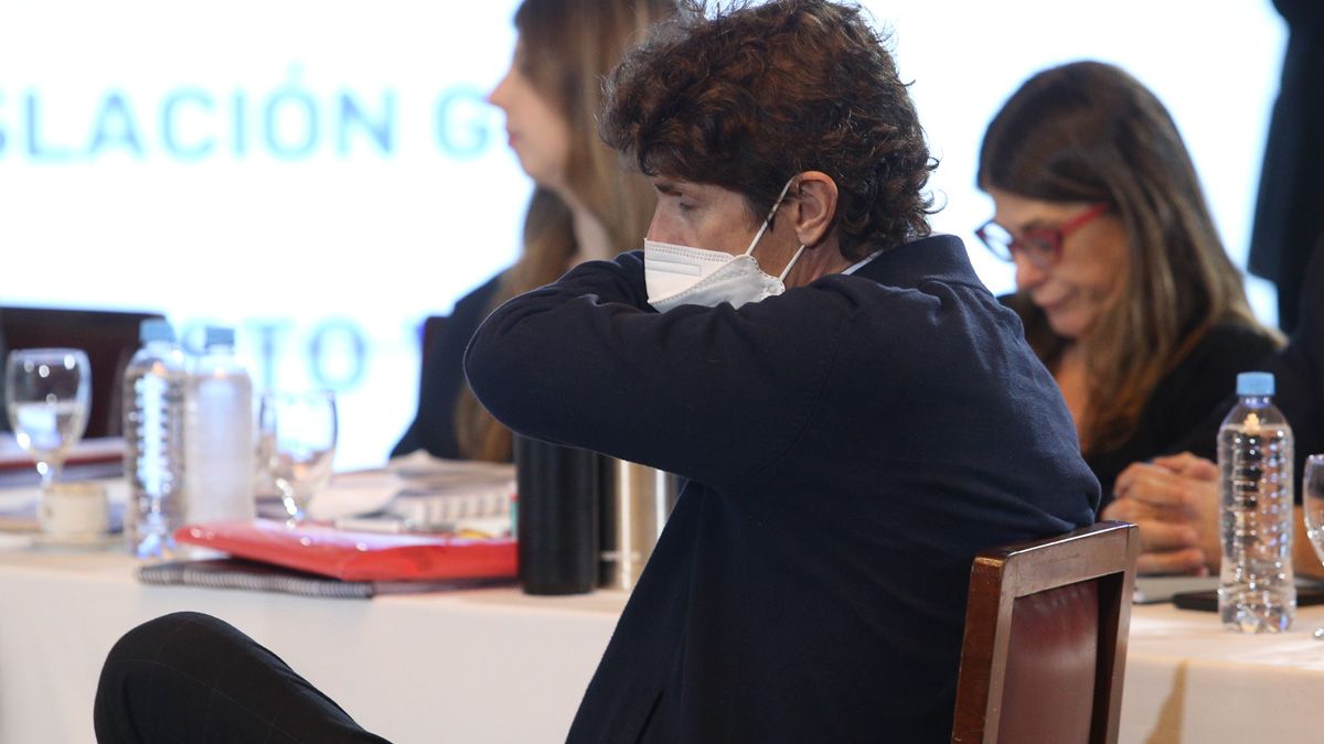 Martín Lousteau, enfermo y con barbijo en el Senado (Foto: NA). Martín Lousteau, enfermo y con barbijo en el Senado (Foto: NA).