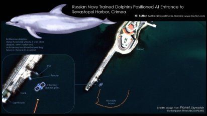 Rusia entrena 'delfines de combate' en Crimea